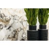 Rex Ceramiche Керамогранит Etoile de Rex (Rex Ceramiche, Италия) 