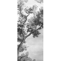 Декор Grande Resin Look Grisaille A Bianco 120x278