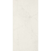 Керамогранит Allmarble Altissimo Lux rett 60x120