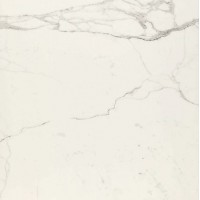 Керамогранит Allmarble Statuario Lux Rett 60x60 (10 мм)