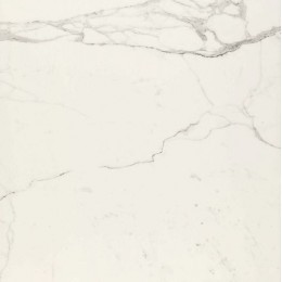 Керамогранит Allmarble Statuario Lux Rett 60x60 (10 мм)