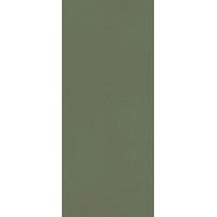 Керамогранит Grande Resin Look Verde Scuro Cold Satin 120x278