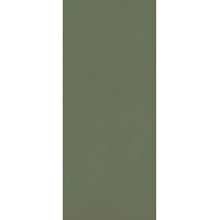 Керамогранит Grande Resin Look Verde Scuro Cold Satin 120x278