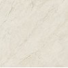 Imola Ceramica Керамогранит Muse White MACCHIAAP.1WLP 120x120 