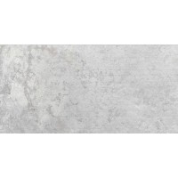 Керамогранит Tempo Gris 30x60