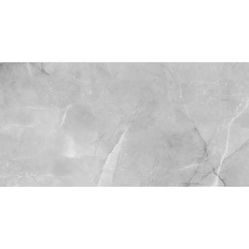 Absolut Gres Керамогранит Armani Silver gloss 60x120 AB 1142G
