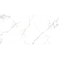Керамогранит Statuario Titan gloss 60x120