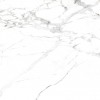 Absolut Gres Керамогранит Staturio Classic gloss 60x60 AB 1003G