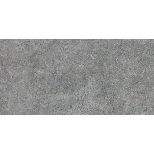 Argenta Ceramica Керамогранит Etienne Grey matt 30x60 8435592001166