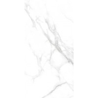 Керамогранит Statuario Dallas Silver glossy polished 60x120
