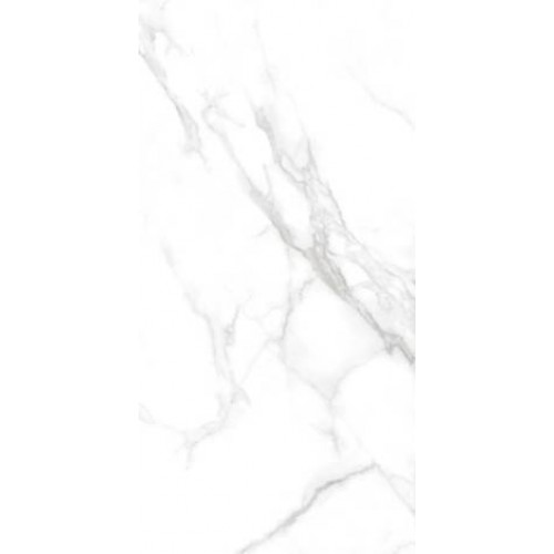 Asia Pacific Ceramic Керамогранит Statuario Dallas Silver glossy polished 60x120 