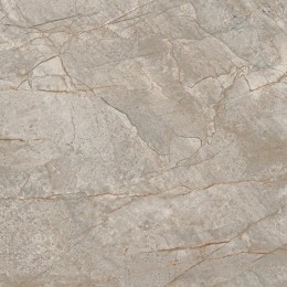 Керамогранит Empire Silver Root Lappato 60x60