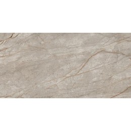 Керамогранит Empire Silver Root Matt 60x120