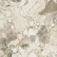 Керамогранит Forte dei Marmi Ceppo Apuano Cream Matt 80x80