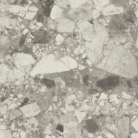 Керамогранит Forte dei Marmi Ceppo Apuano Pearl Lappato 80x80