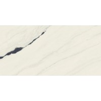 Керамогранит Forte dei Marmi Panda White Cerato 60x120