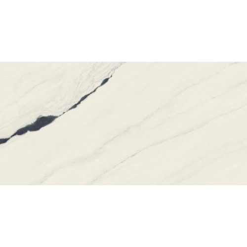 Atlas Concorde Russia Керамогранит Forte dei Marmi Panda White Cerato 60x120 610015000656