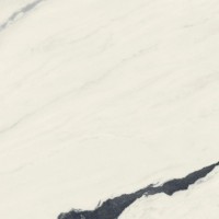 Керамогранит Forte dei Marmi Panda White Matt 80x80