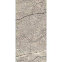 Керамогранит Anima Futura Amazing Silver Lucido 60x120