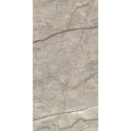 Caesar Керамогранит Anima Futura Amazing Silver Lucido 60x120 