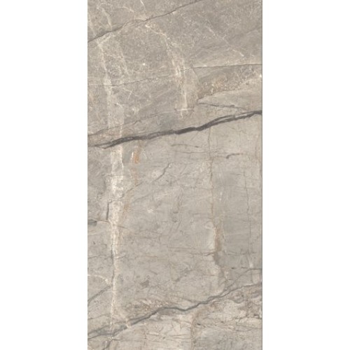 Caesar Керамогранит Anima Futura Amazing Silver Matt 60x120 