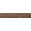 Fanal Керамогранит Forest caoba slim rec 22x120