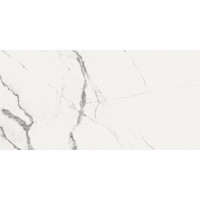 Керамогранит New ice white Nplus Brillo rec 60x120