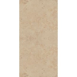 Керамогранит Stonbeige 4.0 40x80