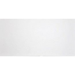 Керамогранит Domino G-100 белый матовый ректификат 30x60