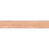 ITC Керамогранит Ariana Wood Brown Carving 20x120
