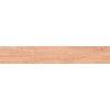 ITC Керамогранит Ariana Wood Brown Matt 20x120
