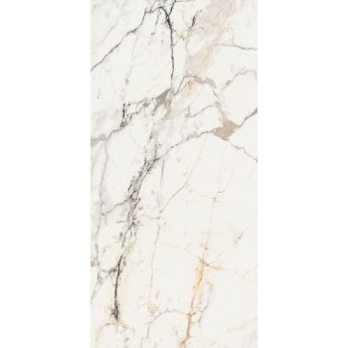 La Faenza Керамогранит Aesthetica AE PAO6 12 RM 60x120 