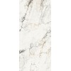 La Faenza Керамогранит Aesthetica AE PAO6 260 LP 120x260