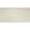 STN Ceramica Керамогранит Haldus cream pulido rect 60x120