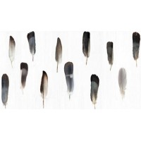 Керамогранит Decorandum Pluma 50x100