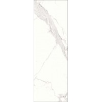 Плитка Avenzo Silver W M R Glossy 1 30x90