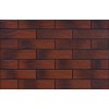 Cerrad Фасадная плитка Rot elewacyjna rustykalna cieniowana 6,5x24,5 5903263449539