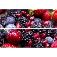 Панно Beveled tile (из 2-х плиток) Berryland (стекло) 20x30