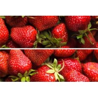 Панно Beveled tile (из 2-х плиток) Strawberry (стекло) 20x30