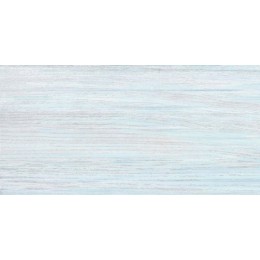 Плитка North 24,9x50 TWU09NRT606