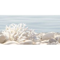 Декор Дель Маре ВС9ДМ624 24,9x50 ВС9ДМ624/DWU09DLM624