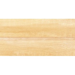 Плитка Briole Wood 24,9x50