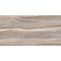 Плитка Esprit Wood 25x50