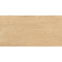 Плитка Triangle Wood 24,9x50