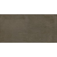 Керамогранит Brave Vison Nat 49,75x99,55