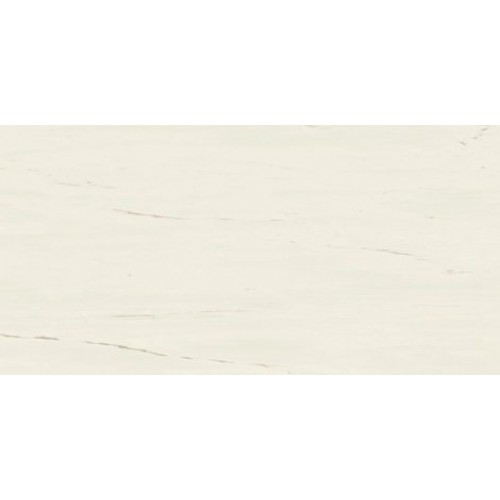 Atlas Concorde Керамогранит Marvel Stone Bianco Dolomite Matt 60x120 A21C