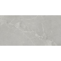 Керамогранит Dubai 120 Grey 60x120
