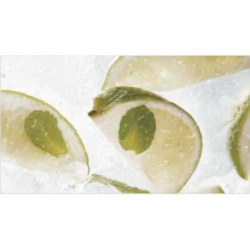 Ceradim Декор Mojito 1 25x45 