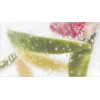 Ceradim Декор Mojito 2 25x45
