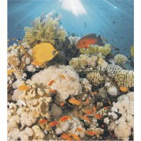 Панно Corals Panno (из 2-х шт) 45x50